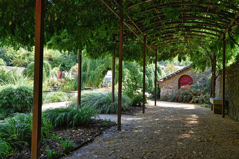 Majestic Arbor